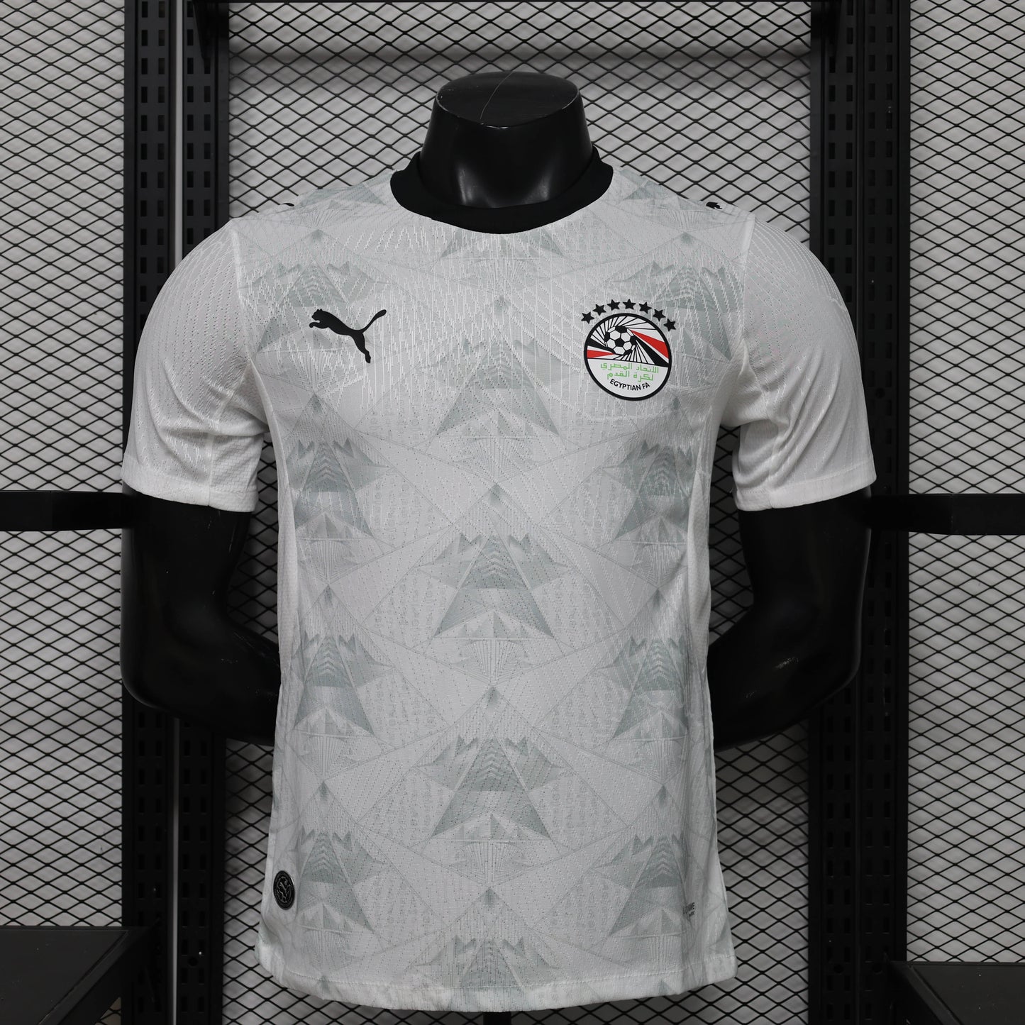 2026 Player Version Egypt National Team Away Shirt